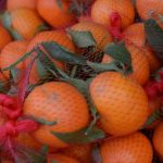 5 features that recognize bad mandarins.