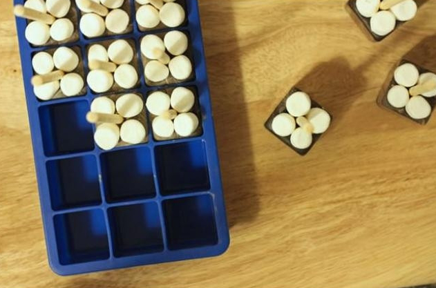 Lifehacks for your ice cube trays: They can be used not only for ice cream, but also for chocolate and other things.