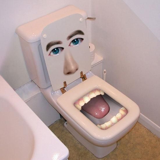 15 ludicrous toilets.