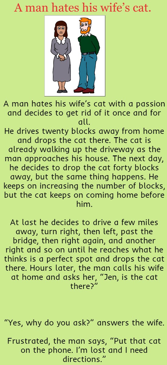 A man hates his wife’s cat.