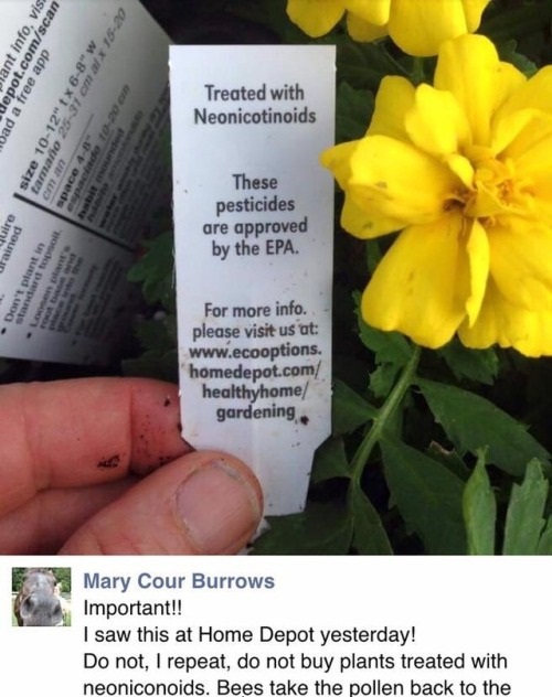 These Pesticides Are Approve By The EPA