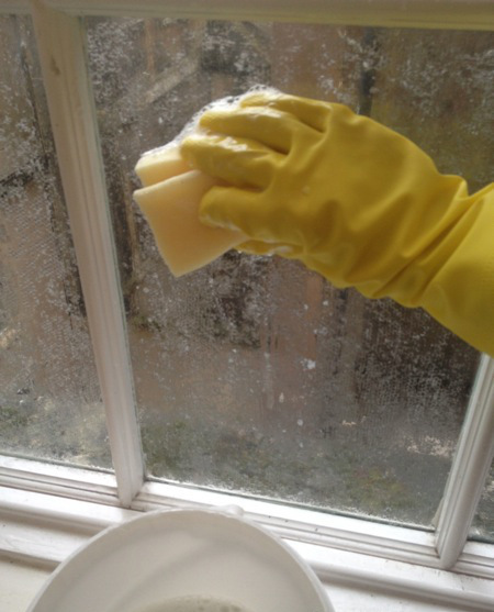 With cornstarch and top make the ideal privacy for the window.