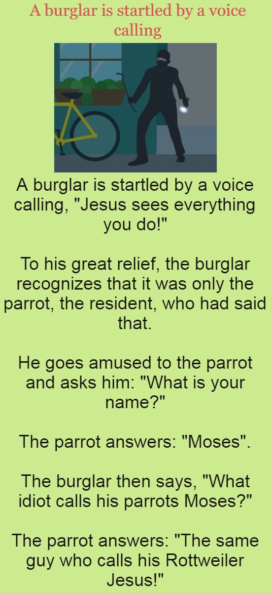 A burglar is startled by a voice calling