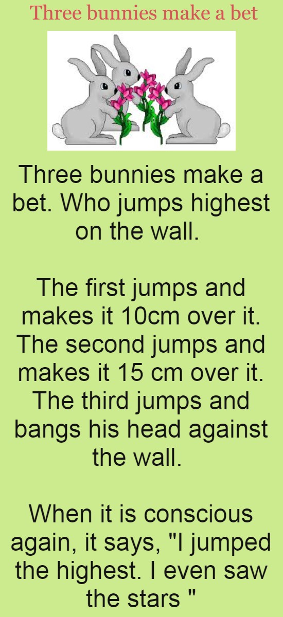 Three bunnies make a bet