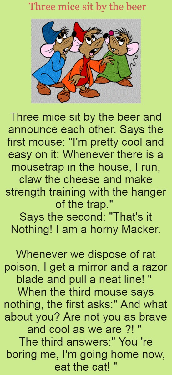 Three mice sit by the beer