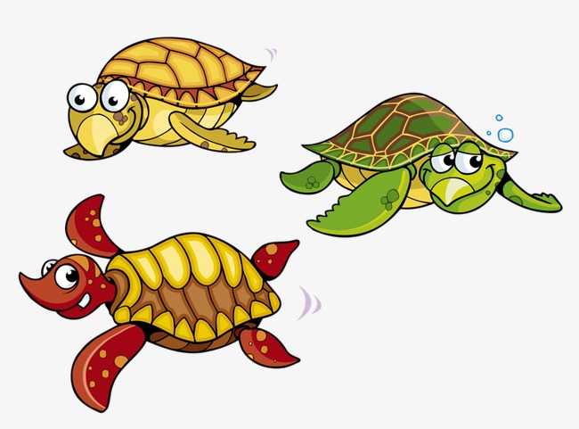 Are three turtles traveling to a source