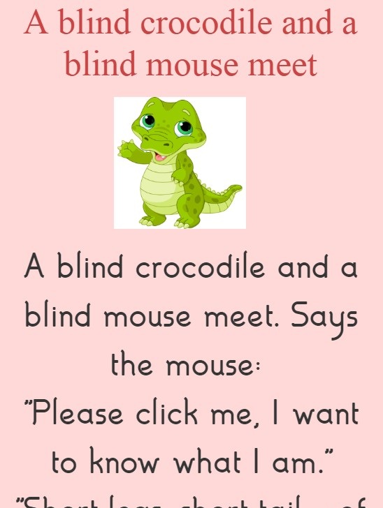 A blind crocodile and a blind mouse meet