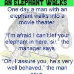 One day a man with an elephant walks