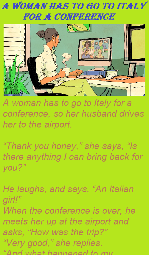 A woman has to go to Italy for a conference