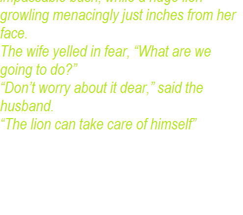 Save Mother-in-law from the lion