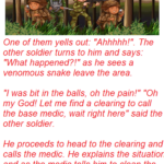 Two soldiers are walking through the jungle