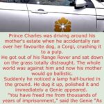 Prince Charles was driving