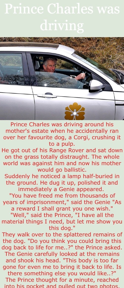 Prince Charles was driving