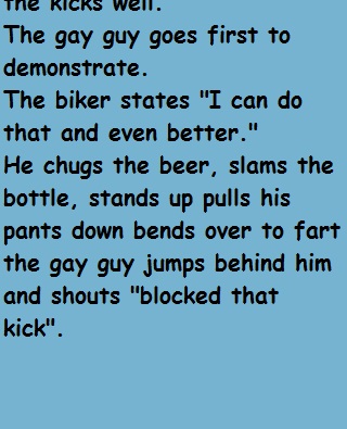 A biker walks into a gay bar and sits down 