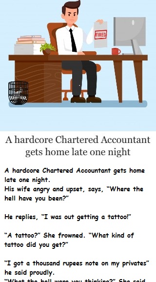 A hardcore Chartered Accountant gets home late one night