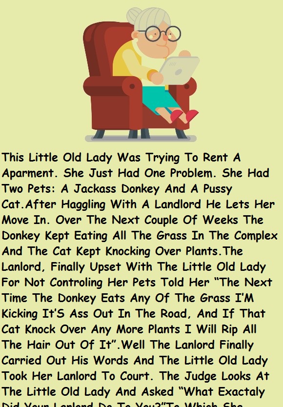 This Little Old Lady Was Trying To Rent A Apartment