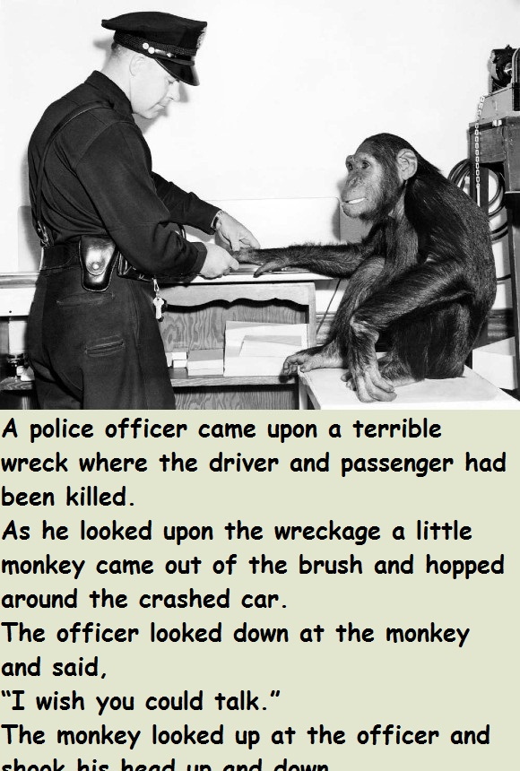 Police Officer & Talking Monkey