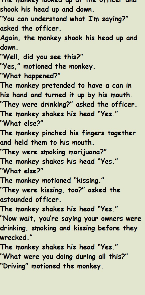 Police Officer & Talking Monkey