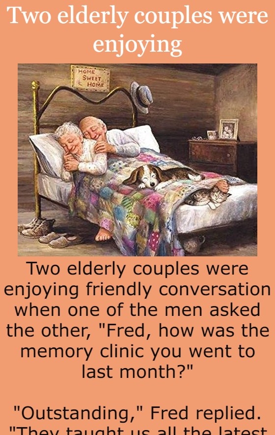 Two elderly couples were enjoying