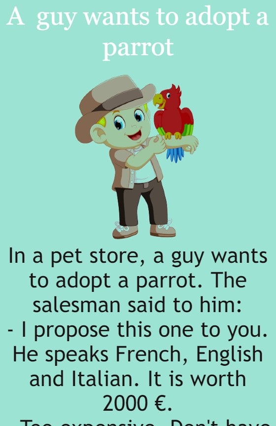 A guy wants to adopt a parrot