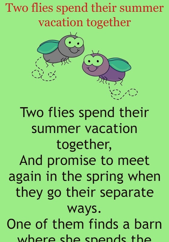 Two flies spend their summer vacation together