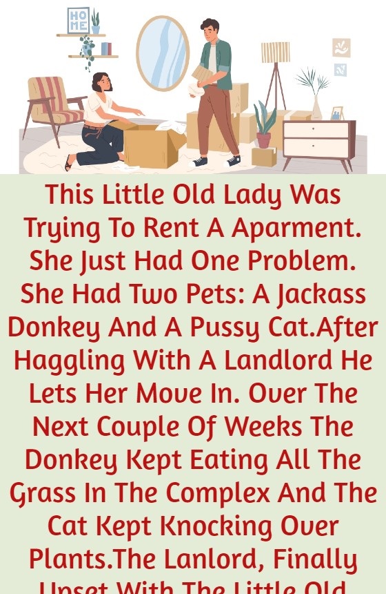 This Little Old Lady Was Trying To Rent A Aparment