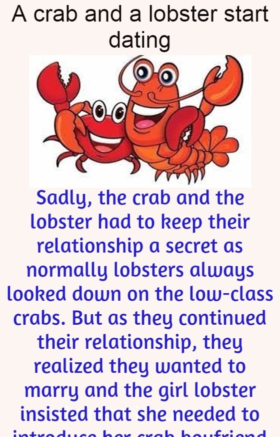 A crab and a lobster start dating