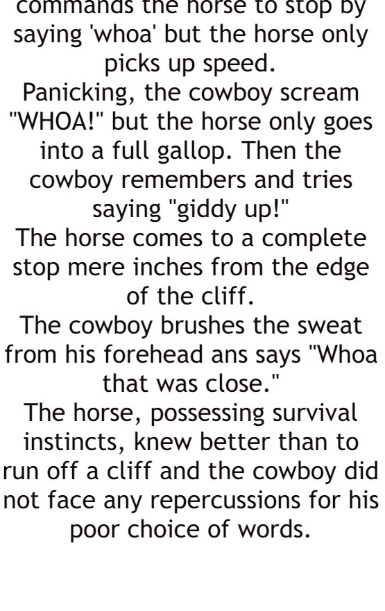 A poor cowboy needs a horse