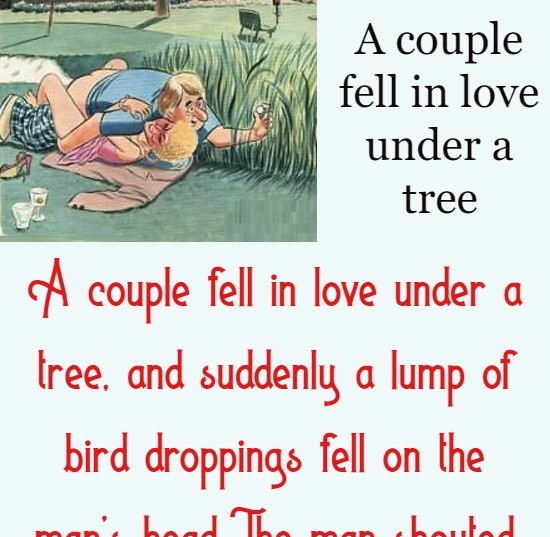 A couple fell in love under a tree