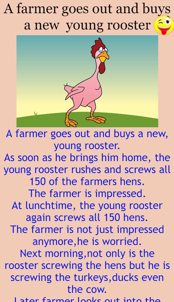 A farmer goes out and buys a new young rooster