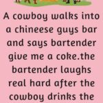 A cowboy walks into a Chinese guy's bar