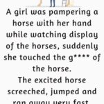 A girl was pampering a horse