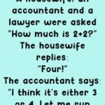 An accountant and a lawyer were asked