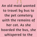 An old maid wanted to travel by bus