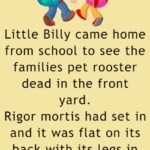 Little Billy came home from school