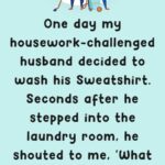 One day my housework-challenged 