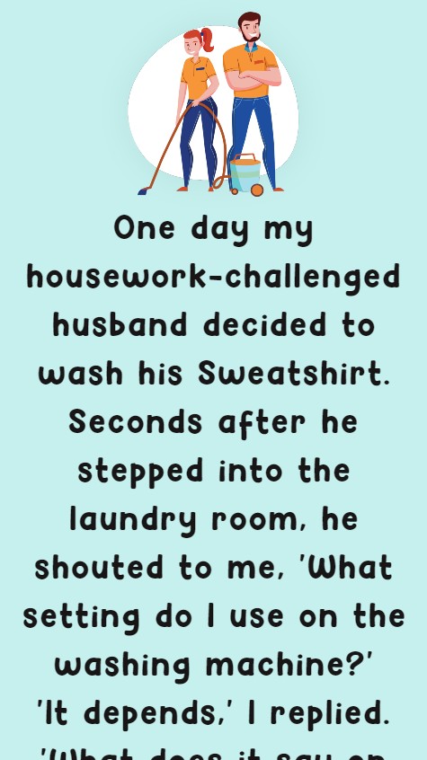 One day my housework-challenged 