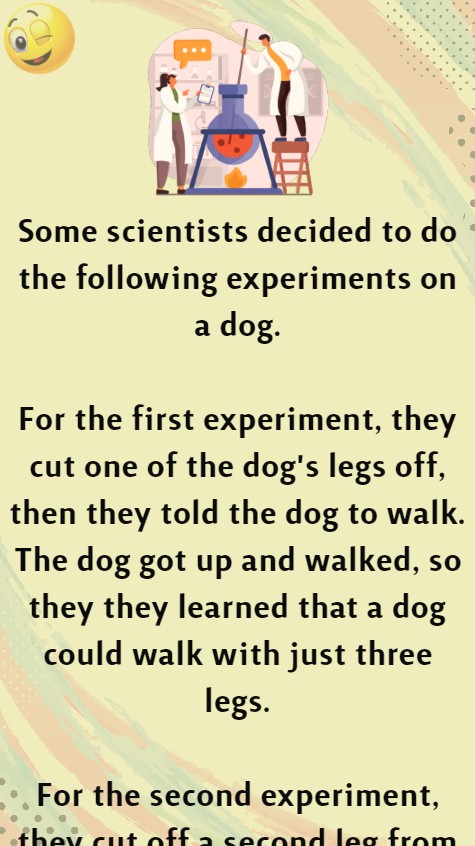 Scientists decided to do the following experiments on a dog