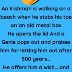 An Irishman is walking on a beach