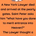 A New York Lawyer