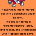 A guy walks into a Raptors bar