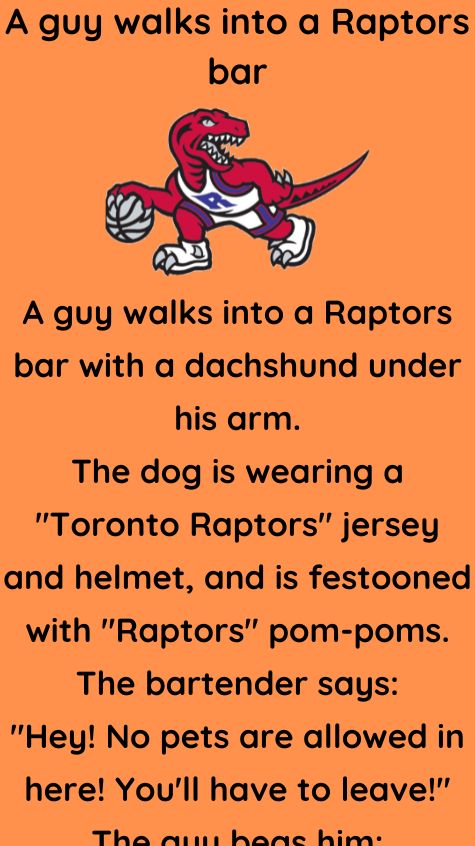 A guy walks into a Raptors bar